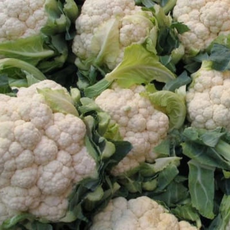 Choux fleurs