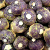 Rutabaga