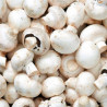 Champignons de Paris
