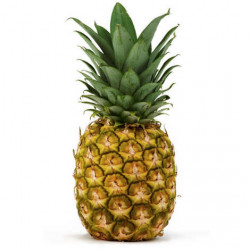 ANANAS